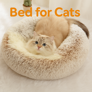 Beds For Cats