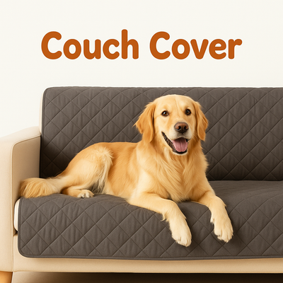Couch cover
